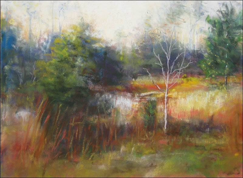 Sun at Pond's Edge